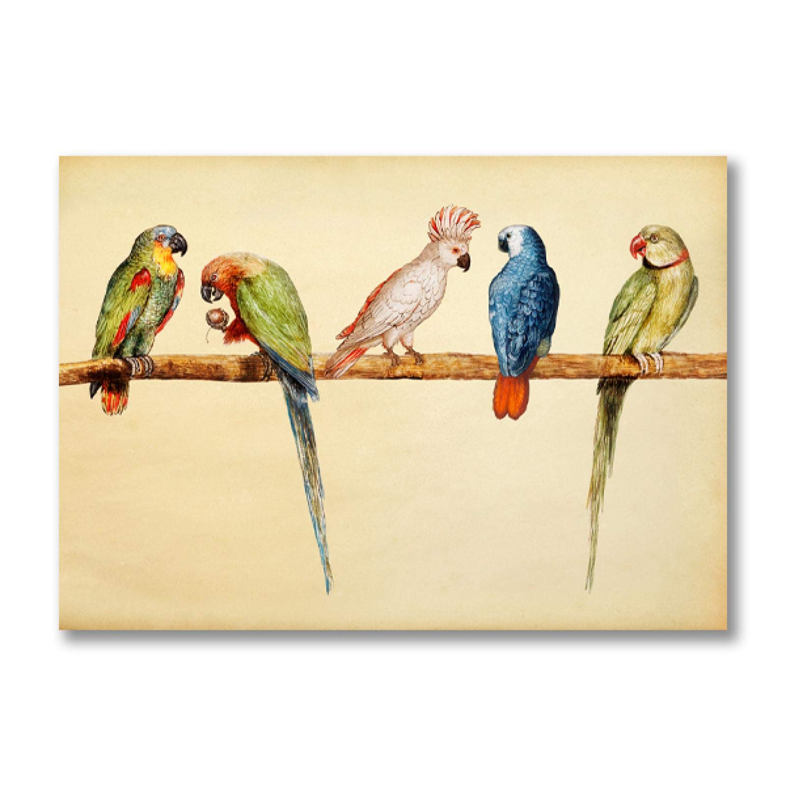 Peinture perruche vintage 40x50cm avec cadre intégré pour habiller facilement un mur vide