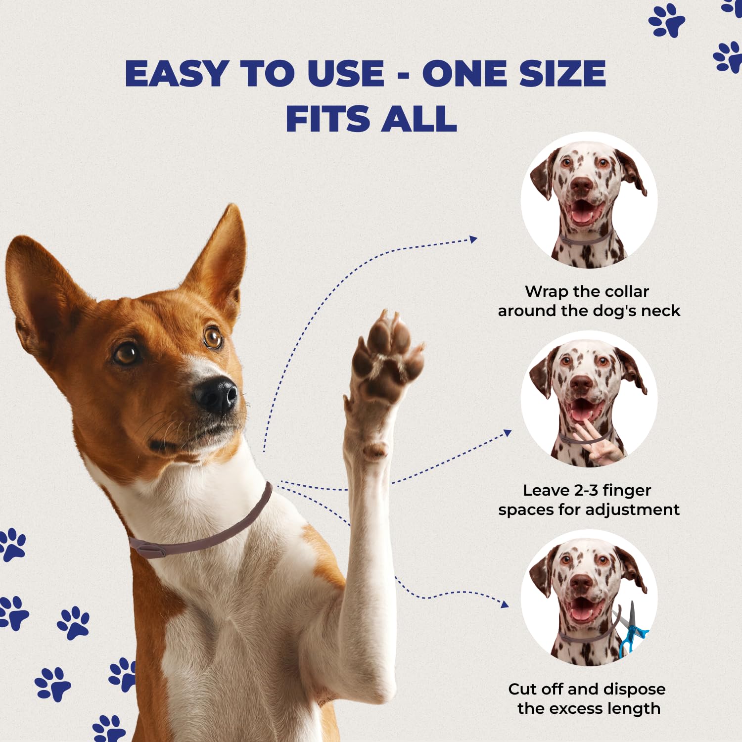 TeddyDo 4 Pack Collar for Dogs, Grey - Image 2