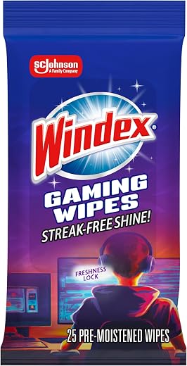 Video Game Accessories