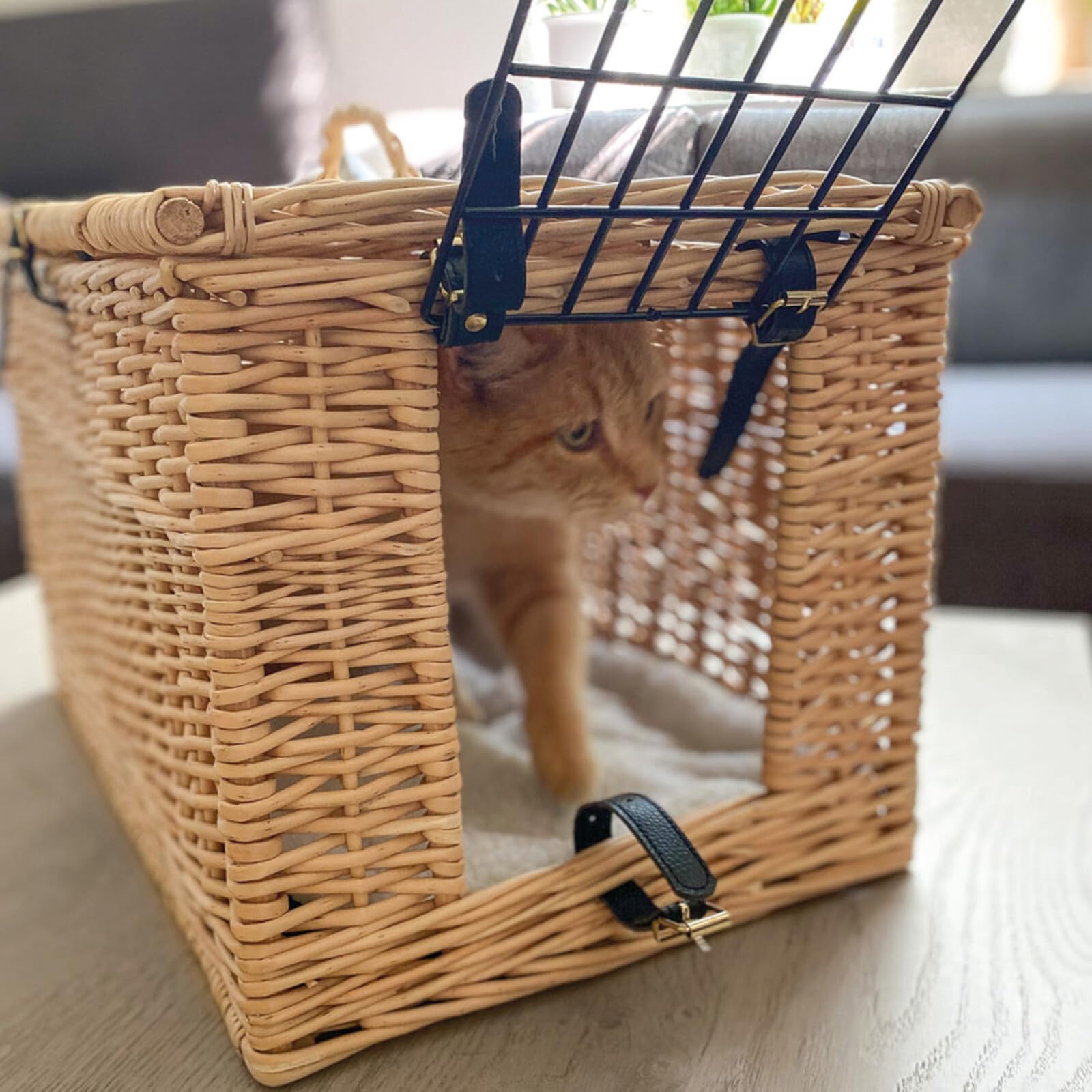 Aumüller Katzentransportkorb aus gesottener Weide - rechteckig