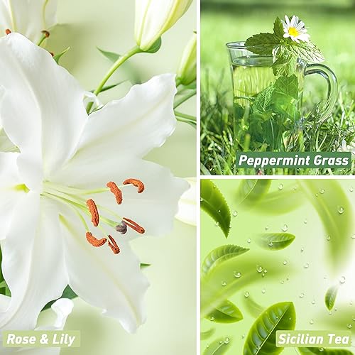 Miniatura 2 de ESSLUX - Aceites aromáticos de primavera, aceites perfumados prémium para difusor del hogar, aromas para hacer velas de jabón, juego de regalo de