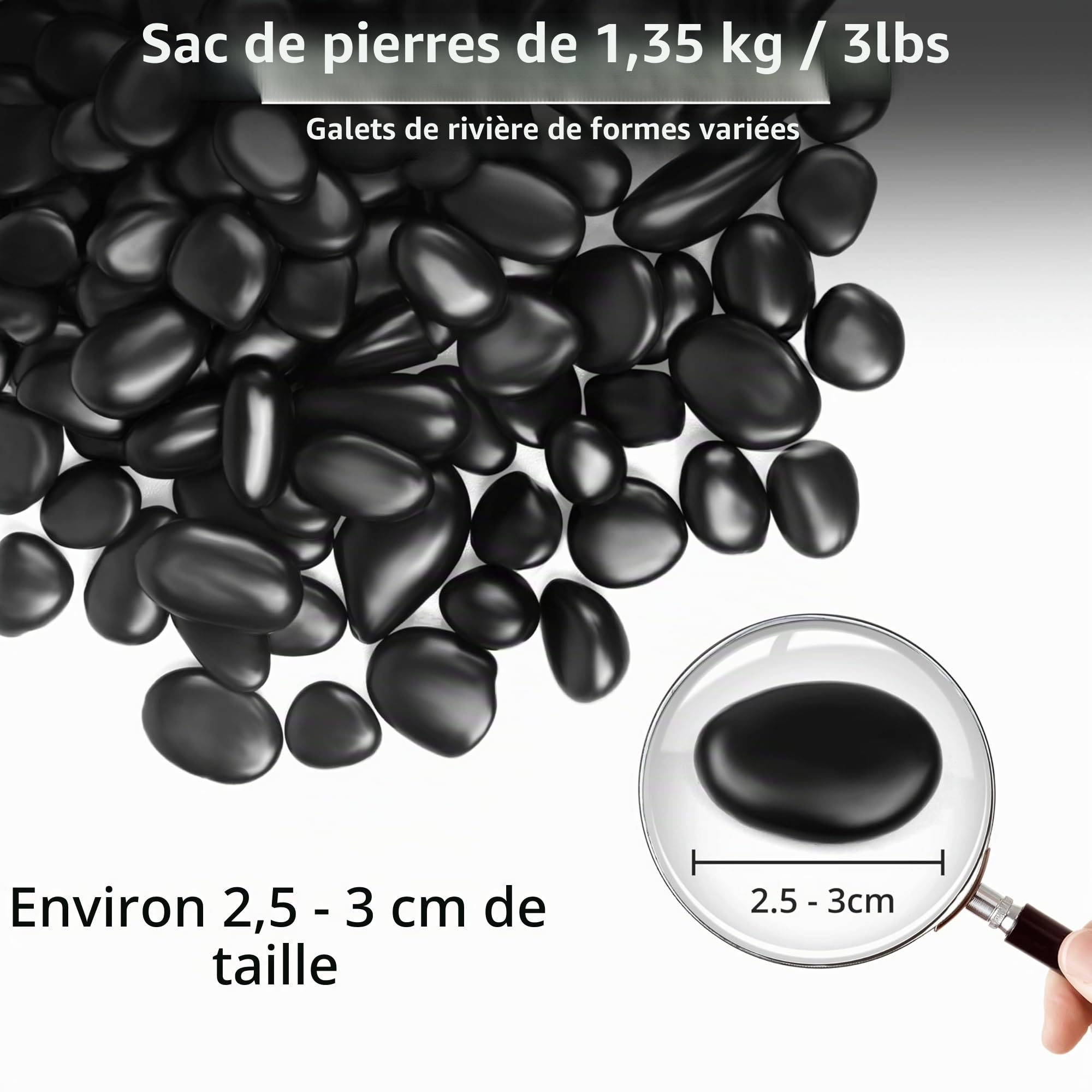 Winter Shore 1,35 kg Galets Noirs Décoratifs - 2,5-3 cm Billes Chinoises Plates - Gravier Aquarium, Aménagement Paysager, Terrarium, Succulentes, Vase - Cailloux de Rivière Tamisés & Polis