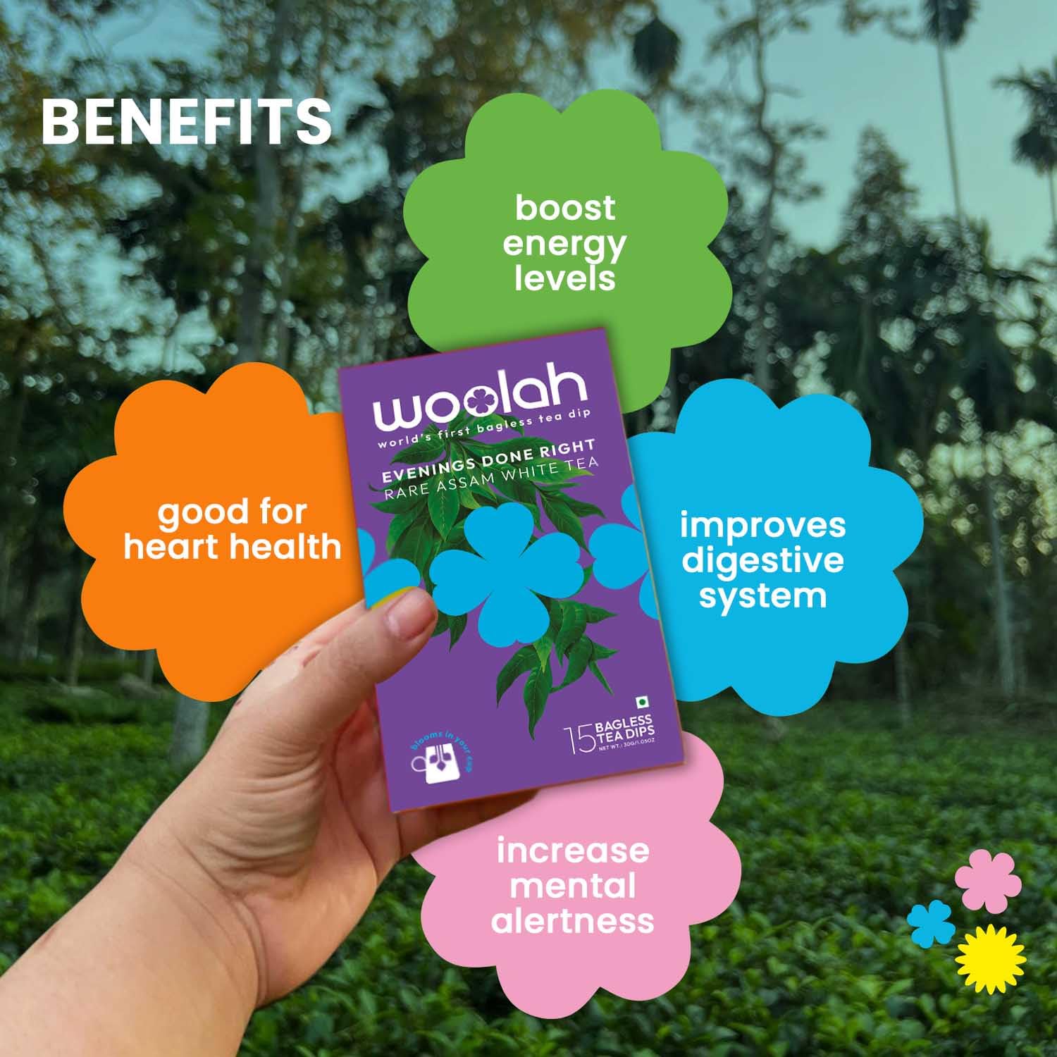Woolah Rare Assam White Tea, Organic BAGLESS Tea Dip (15 Dips /30 Cups) 100% PLASTIC FREE, Natural Whole Leaf, High EGCG anti-oxidants, BOOST METABOLISM, Improves SKIN HEALTH & Good for Heart. - Image 4 thumbnail