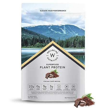Wellbeing Nutrition Organic Vegan Plant Protein Powder for Men & Women | 22g European Pea Protein Isolate | 5g BCAA, Superfoods, Fiber for Muscle Growth & Recovery | Italian Cafe Mocha - 500gm