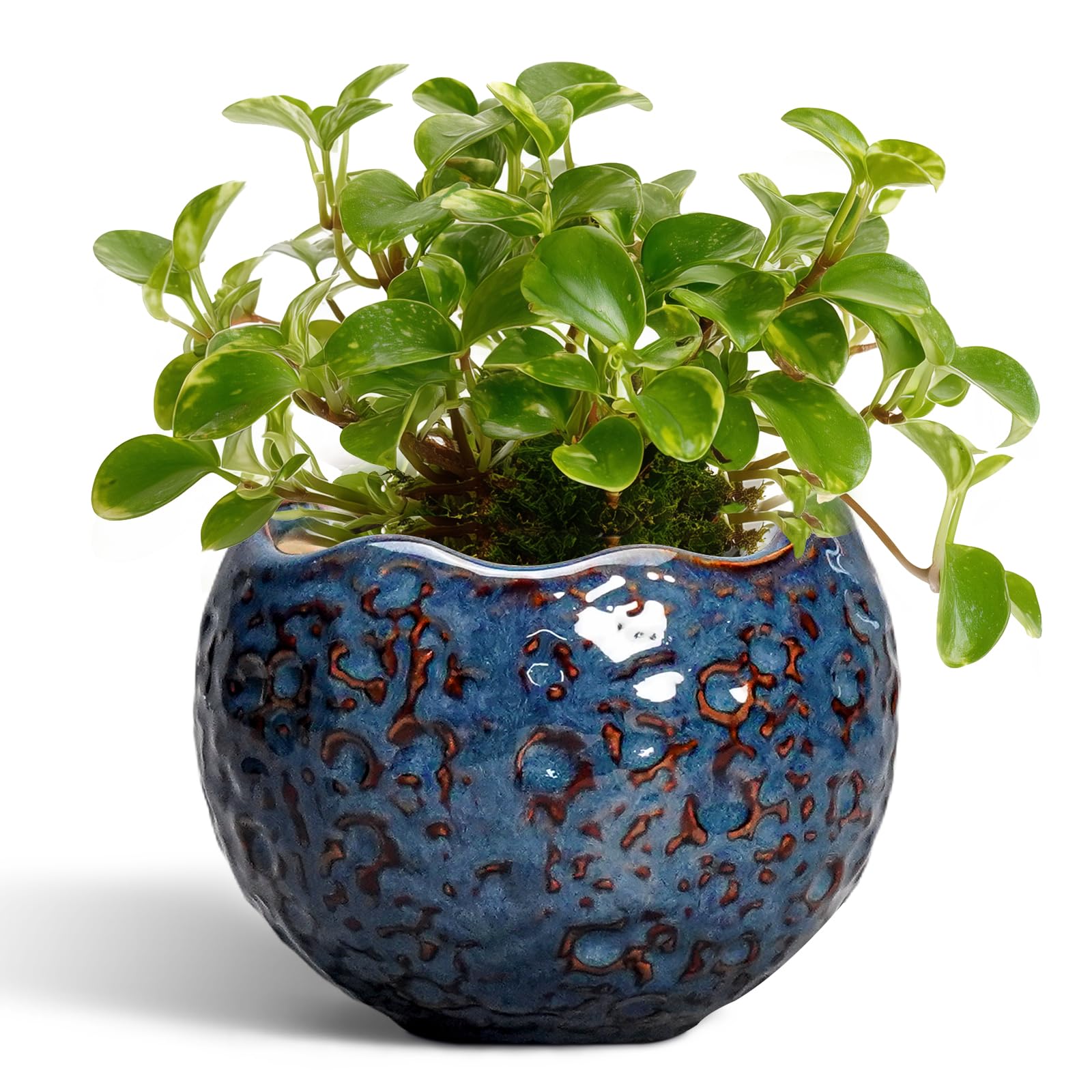 Thirtypot Retro Blue 4-Inch Ceramic Pot