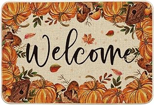 Artoid Mode Citrouilles Champignons Bienvenue Paillasson d'automne, Bienvenue Décoration de la Maison Tapis de Cuisine Tapis de Sol pour Intérieur Extérieur Décor 40 x 60 cm