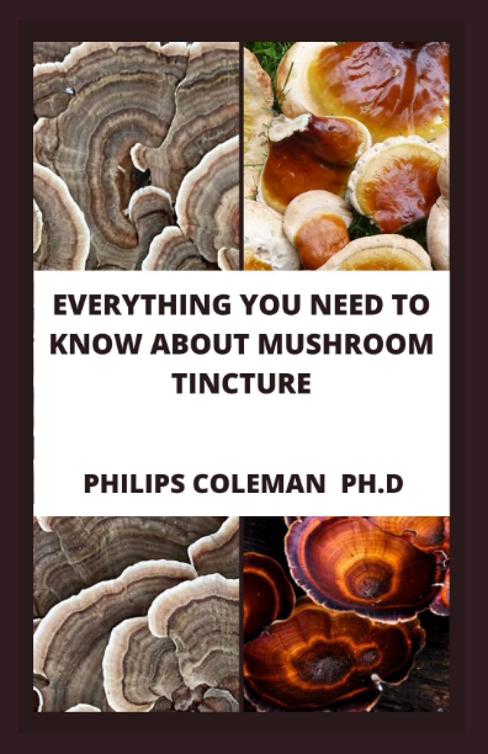 EVERYTHING YOU NEED TO KNOW ABOUT MUSHROOM TINCTURE: Basic Guide To The Usage, Importance Of Mushroom Tincture