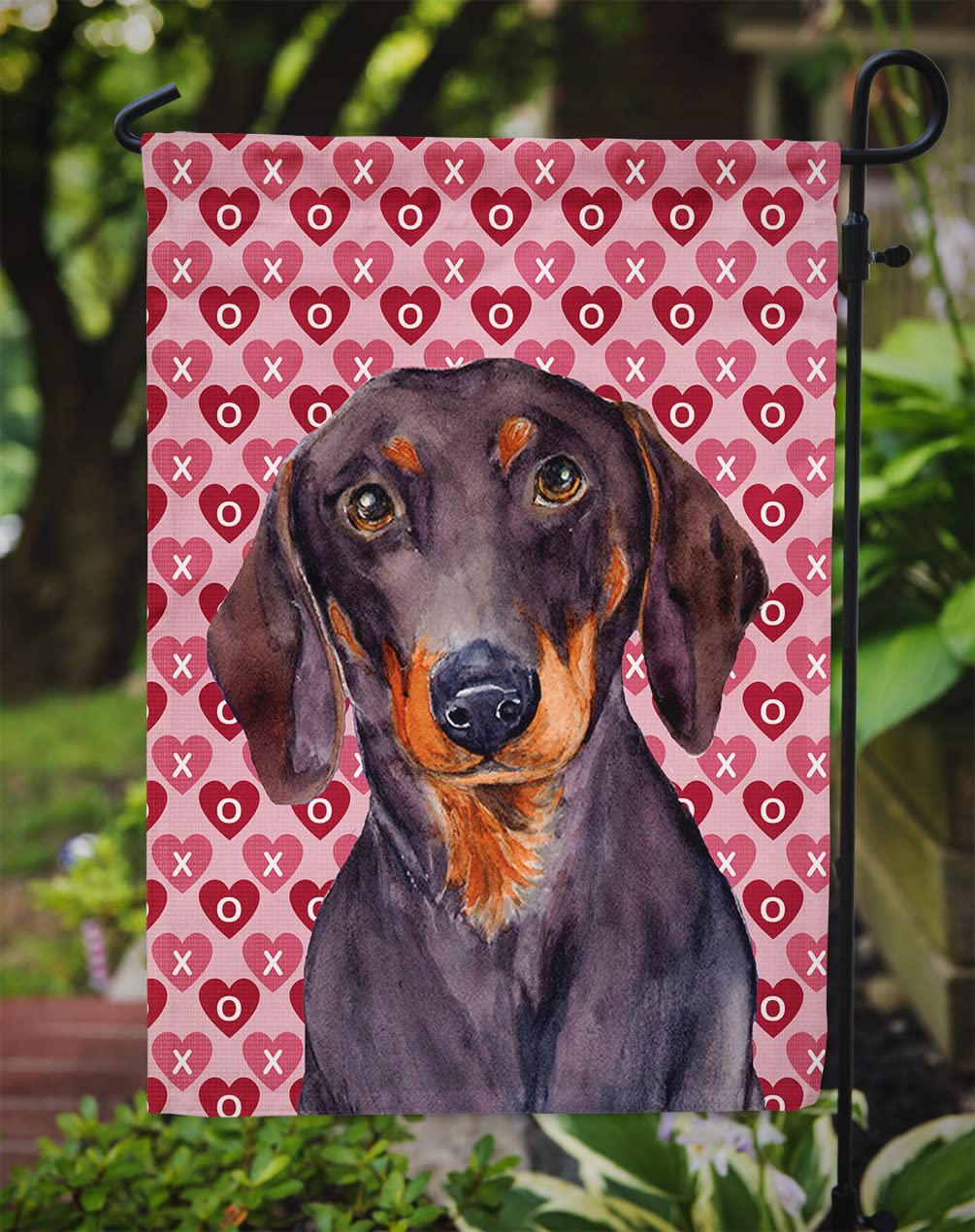 Lindo Perro Salchicha Caricatura Posar PNG , Doméstico, Pequeña