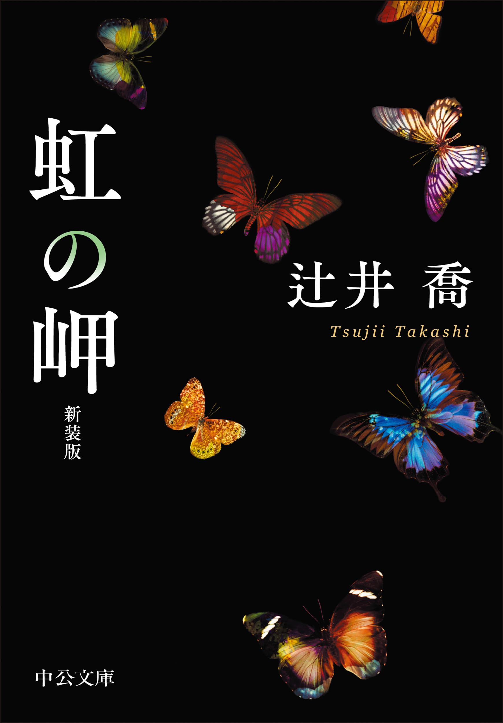 Amazon.co.jp: 虹の岬-新装版 (中公文庫 つ 18-5) : 辻井 喬: 本