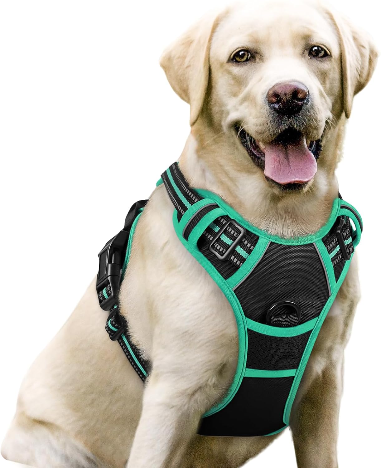rabbitgoo Dog Harness, No-Pull Pet Harness with 2 Leash Clips, Adjustable Soft Padded Dog Vest, Reflective No-Choke Pet Oxford Vest with Easy Control Handle for Large Dogs, Black & Turquoise, L Large Black & Turquoise