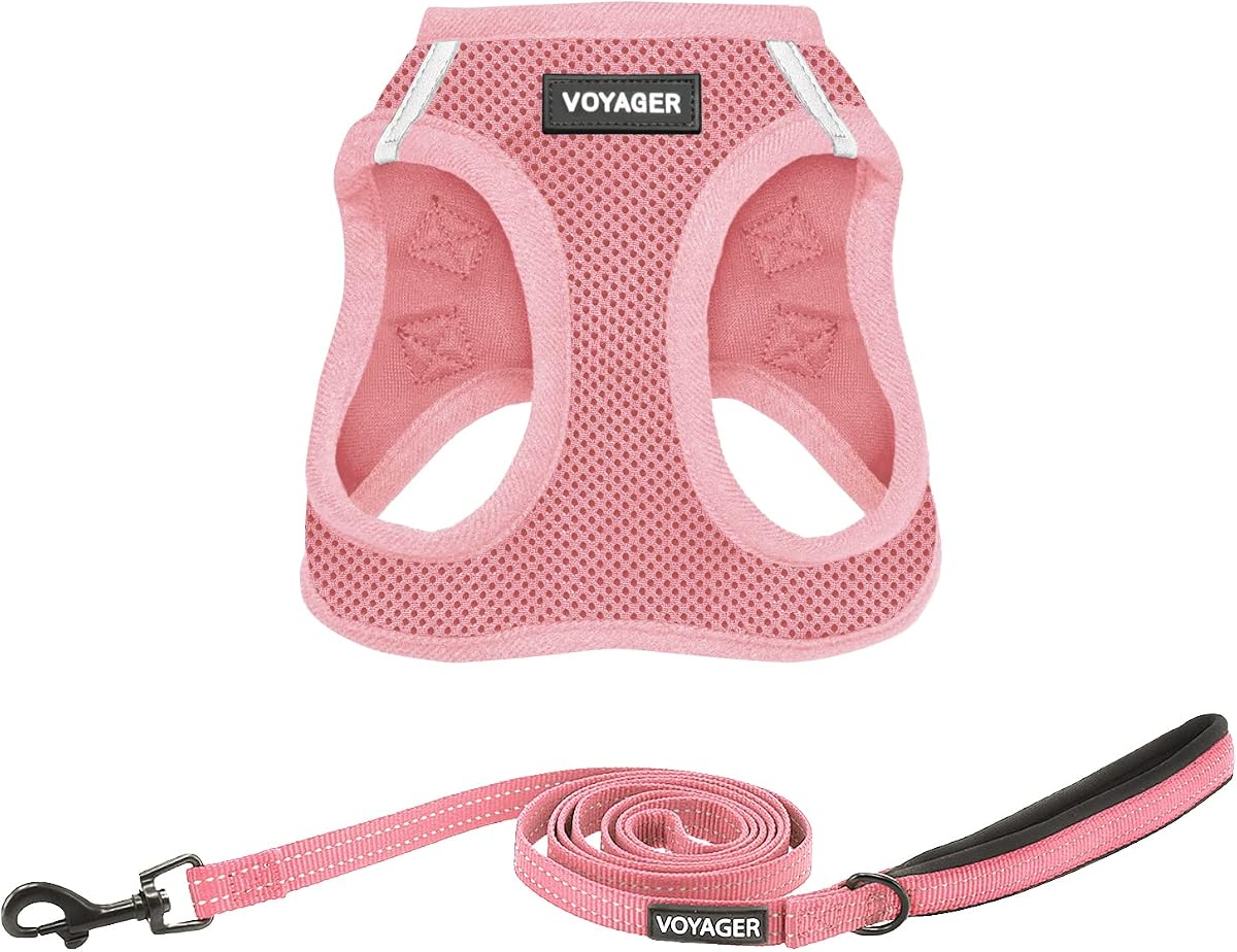Best Pet Supplies Voyager Step-in Air Arnés de malla para todo tipo de clima y correa reflectante para perros de 5 pies con mango de neopreno, para cachorros de razas pequeñas, medianas y grandes - Rosa, X-Small
