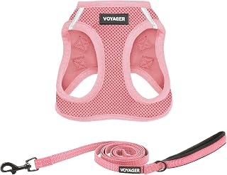Best Pet Supplies Voyager Step-in Air Mesh Dog Harness & Reflective 5ft Leash Combo - All-Weather Comfort, Triple Safety for Small to Large Puppies (Pink, XXS)