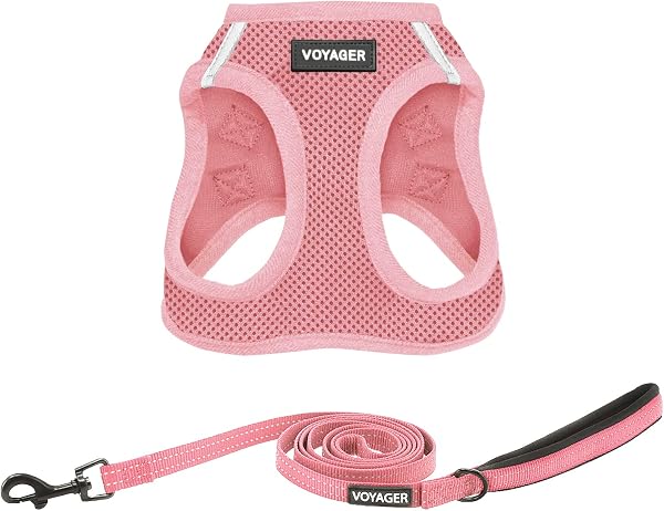 Best Pet Supplies Step-in-Air Cat Harness