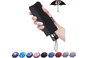 Compact Auto Open/Close Mini Umbrella