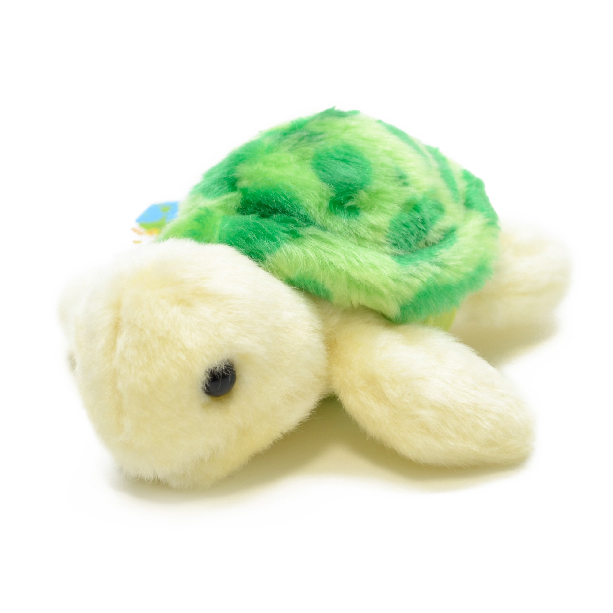 Amazon.co.jp: AQUA ぬいぐるみ マリン カメのノブユキくん S グリーン