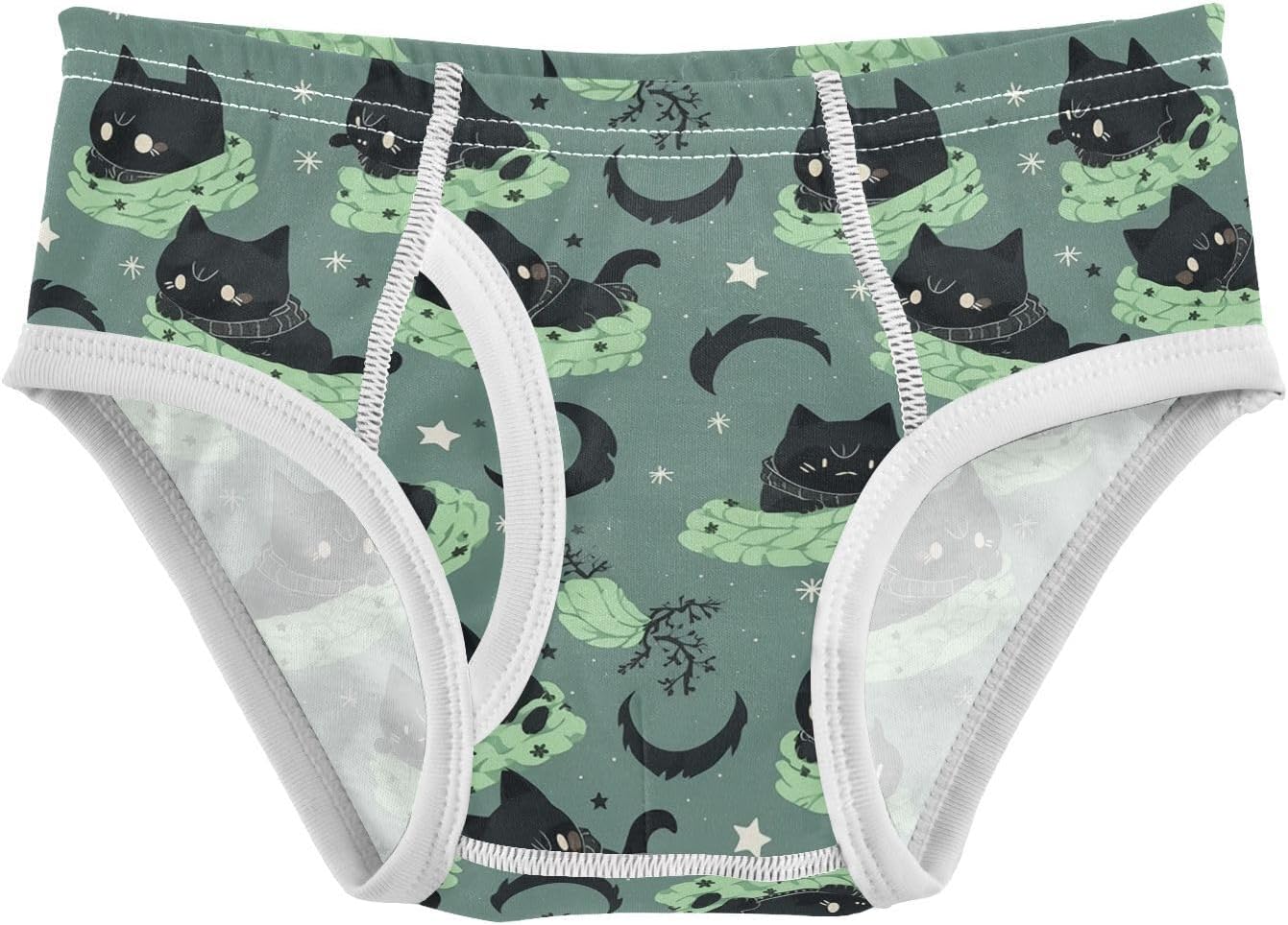 visesunny Boys Potty Training Underwear Cartoon Black Cat Feathers Breathe Cotton Briefs Size 2T-8Y for Toddler