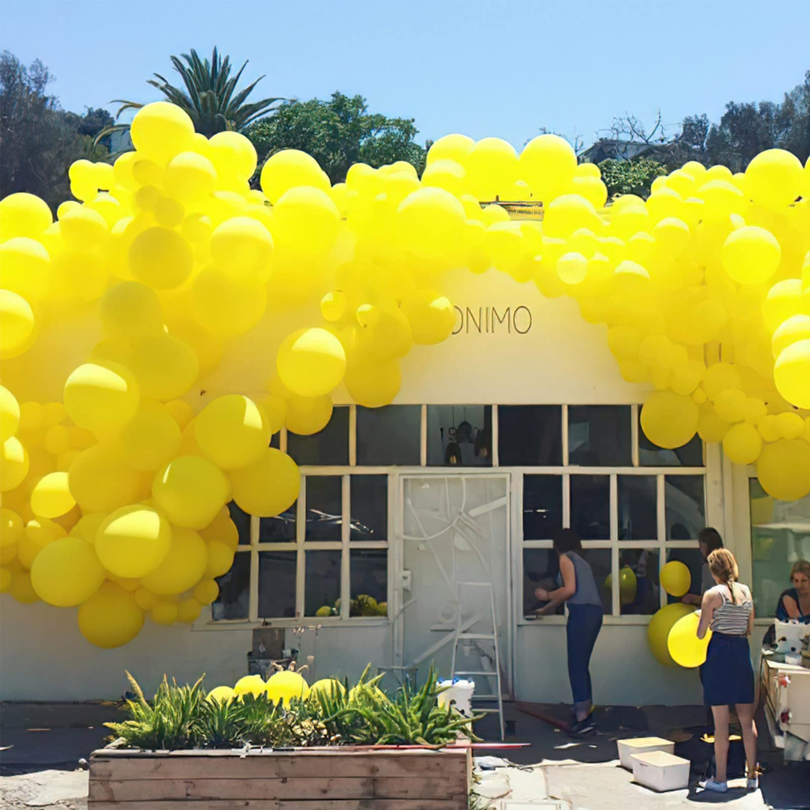 Yellow Balloons - 140 Piece Pack Of Assorted Latex Balloons For Parties And Celebrations - View #12
