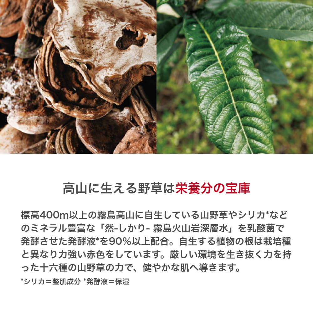 長寿の里 然 シルク美容液 発酵化粧水 5本セット Amazon | 長寿の里 公式 然 －しかり－ 発酵化粧水 150ml 完然無添加