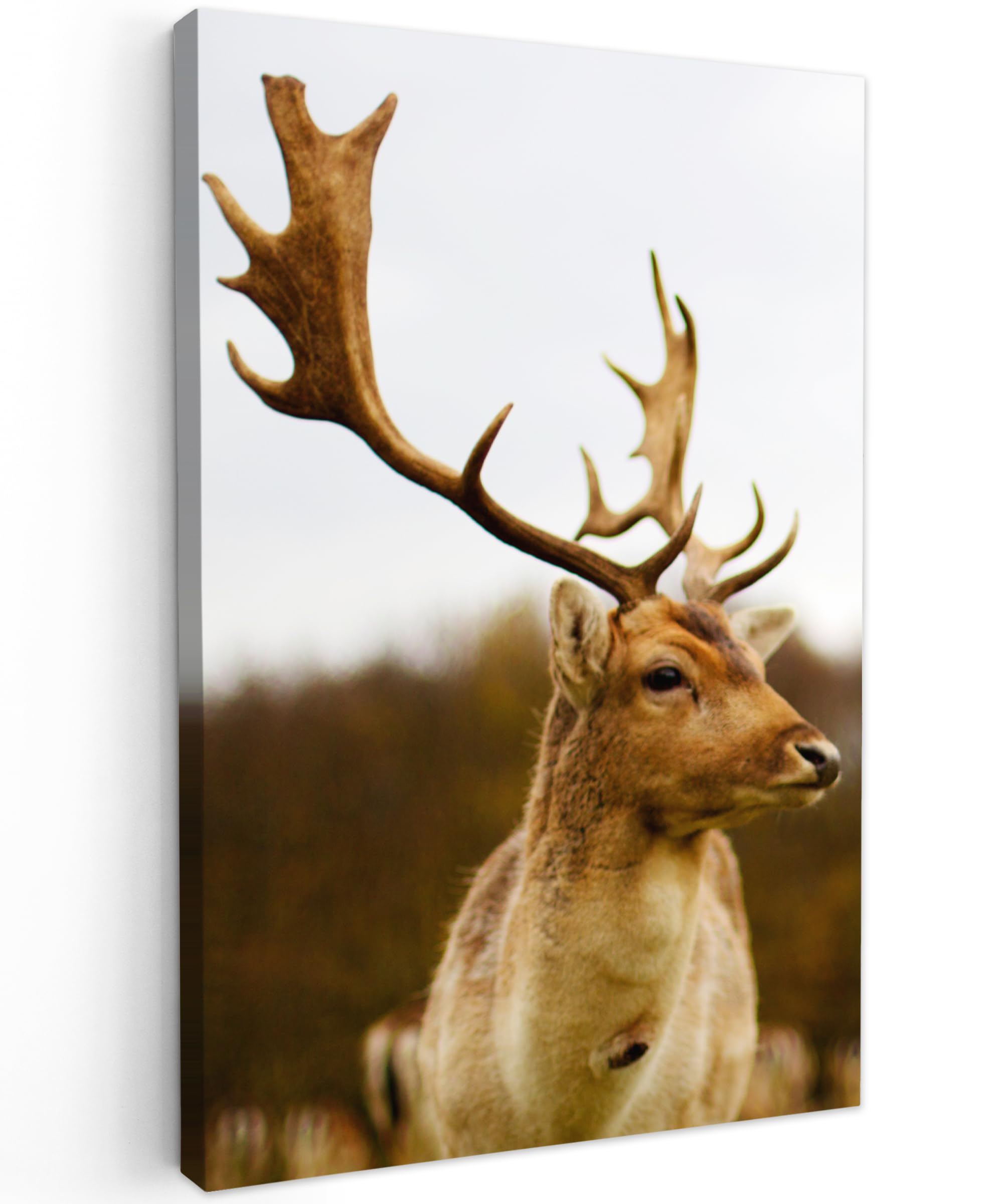 MuchoWow© Canvas Wall Art Work 31"x47" / 80x120 cm Room Decor Painting Wallfillers Picture Decoration Prints Deer - Forest - Herd - Animals - Nature — image 1