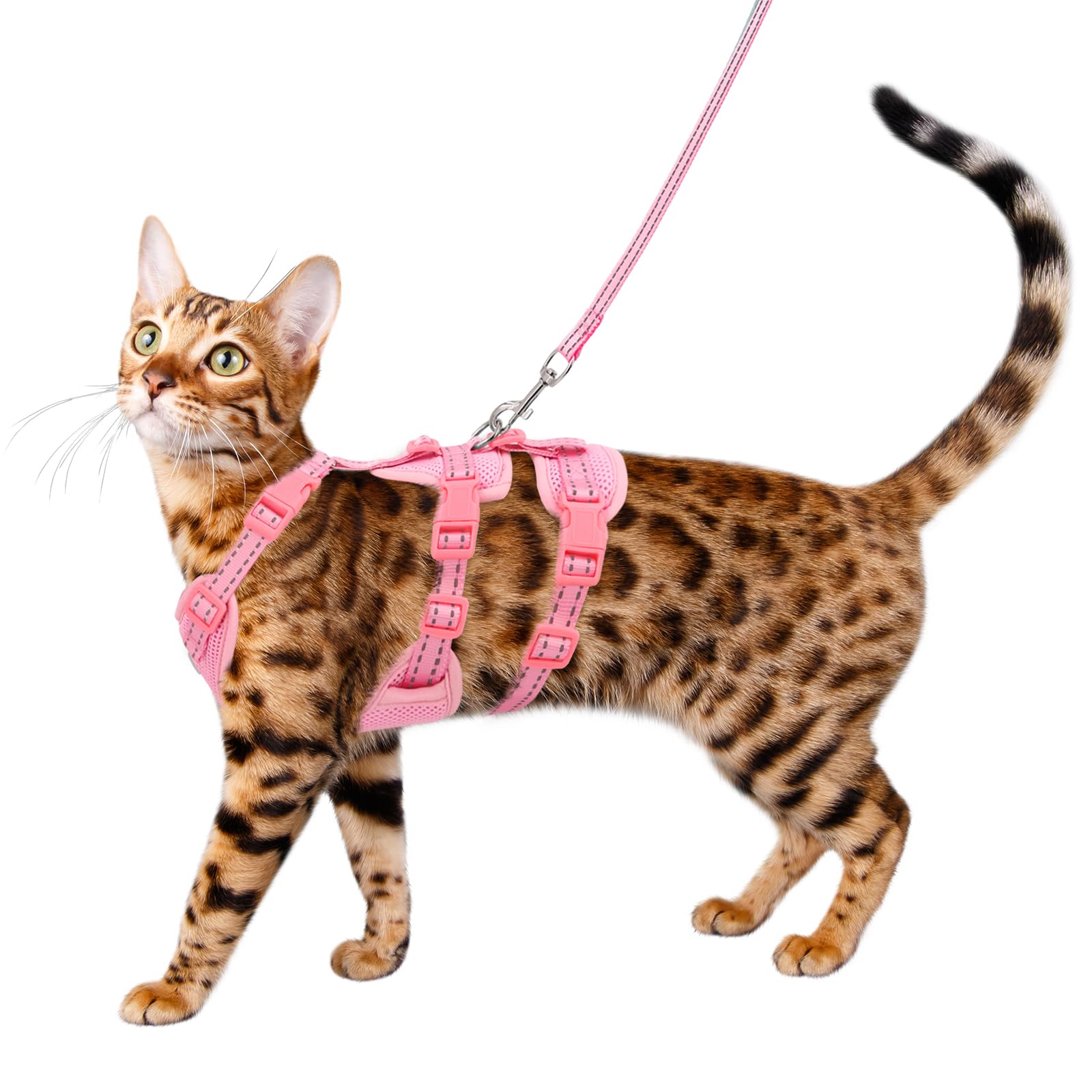 Cat Harness 3-Pack Escape-Proof Set Reflective Adjustable