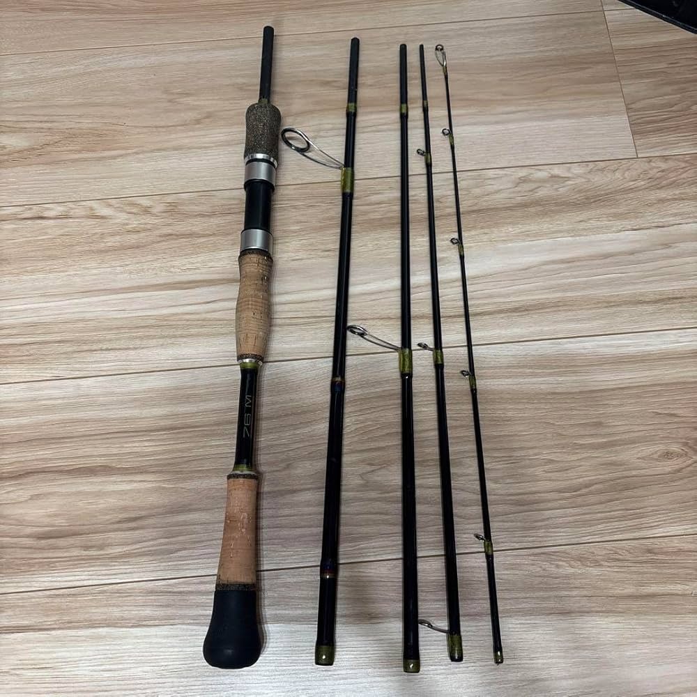 Amazon.co.jp: フィンチ カナリア76M TBKFJCHX : スポーツ