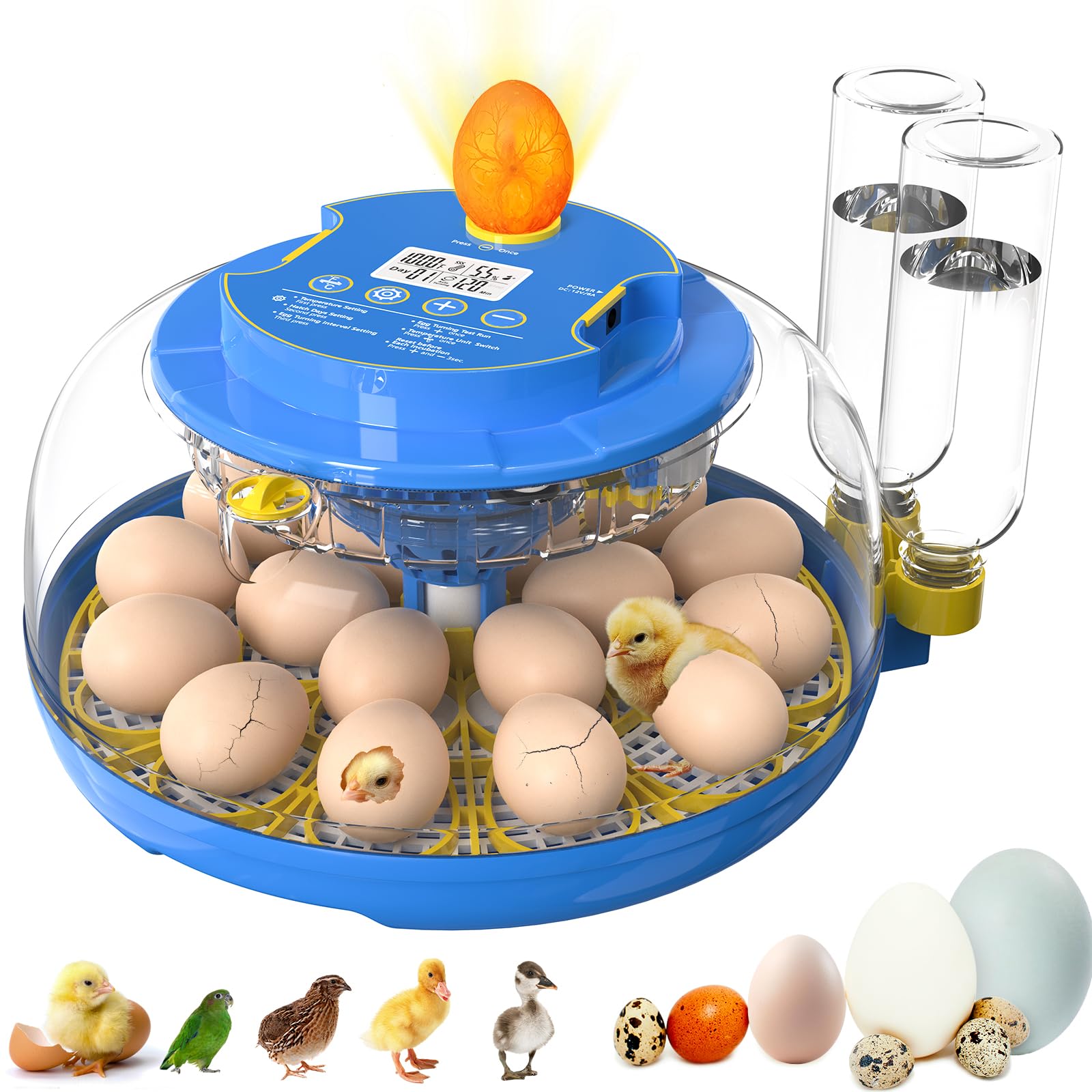 Incubators for Hatching Eggs,18 Egg Incubator with Automatic Egg