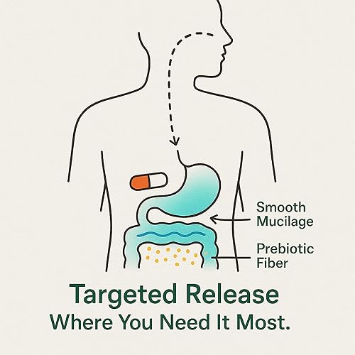 Miniatura 7 de GutCore Suplemento de apoyo digestivo - con inulina, hinojo, jengibre y corteza de olmo resbaladizo - 60 cápsulas
