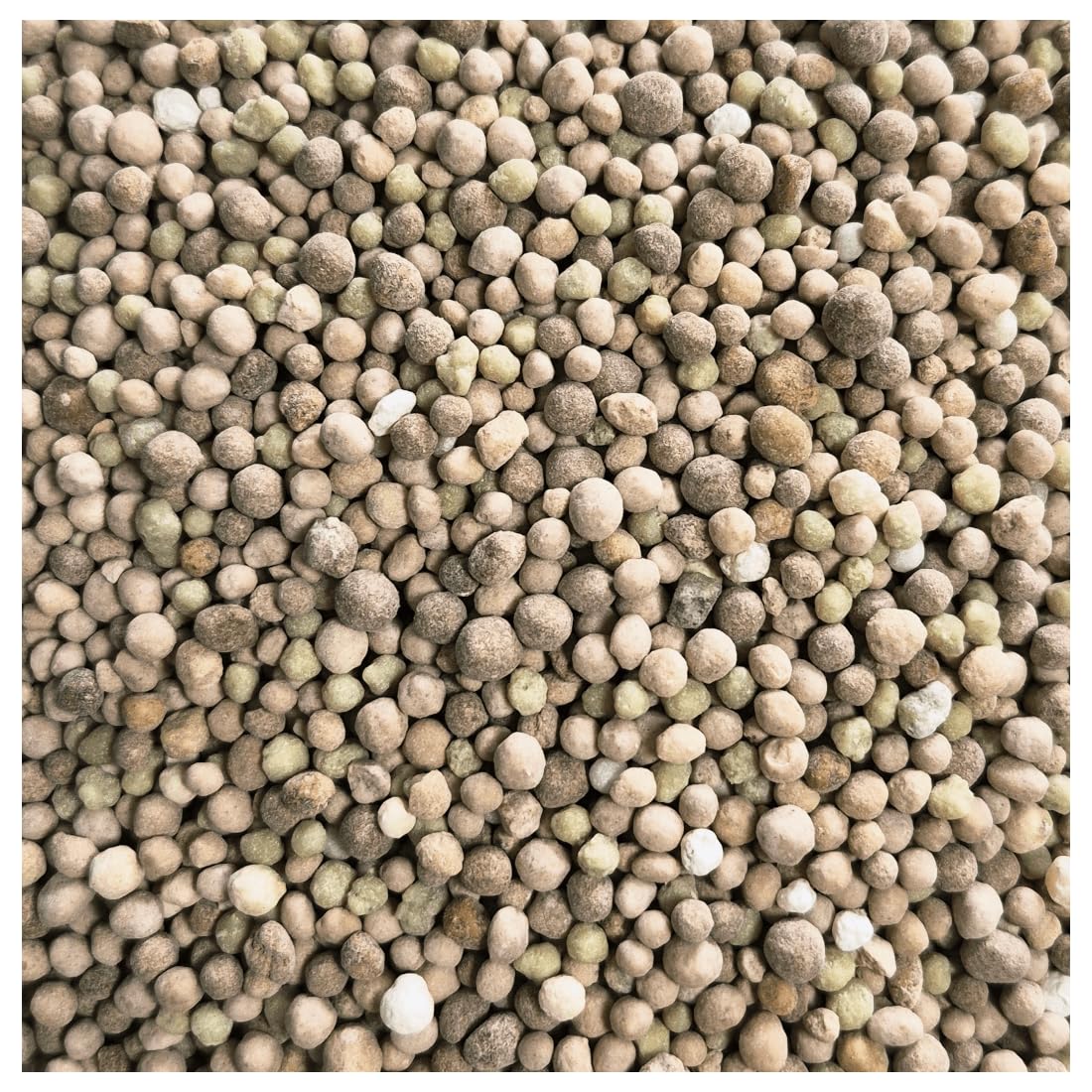 Fertilizzante per Prato Eco 12-5 di 5 25 kg, fertilizzante completo, fino a 600 m²