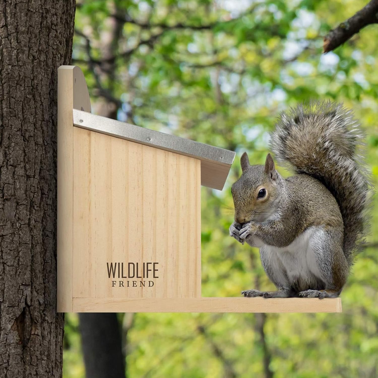 WILDLIFE FRIEND Comedero para Ardillas XXL - para llenar con Comida para Ardillas - Resistente a la Intemperie - Hecho de Madera Maciza, Techo de Metal y Ventana de plástico - 26x14x29cm