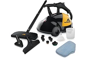 eWbank Steam Dynamo Steam Cleaner