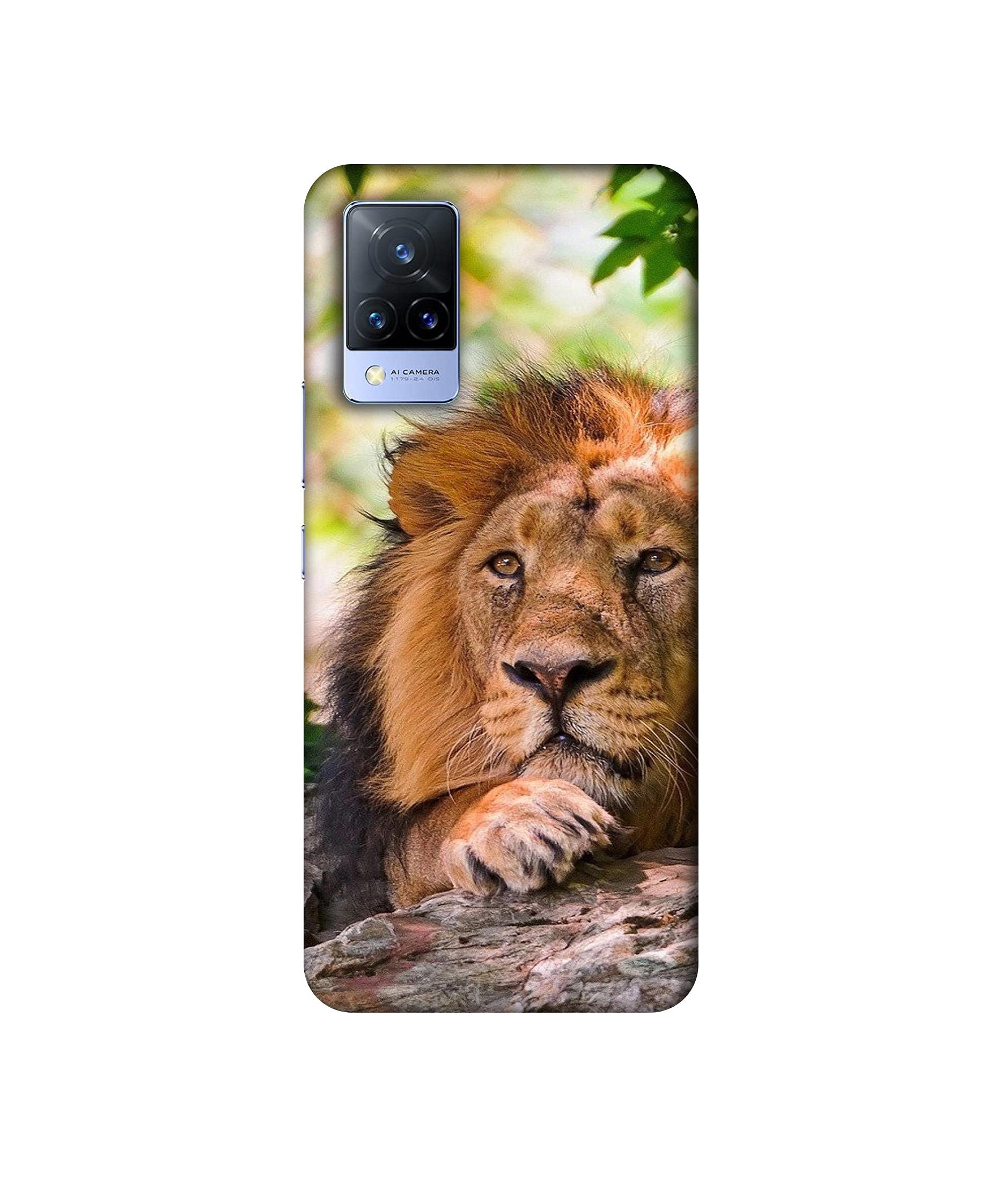 Casotec Back Cover for Vivo V21 5G (Plastic_Multicolor) (B09929M47P) Amazon Price History, Amazon Price Tracker