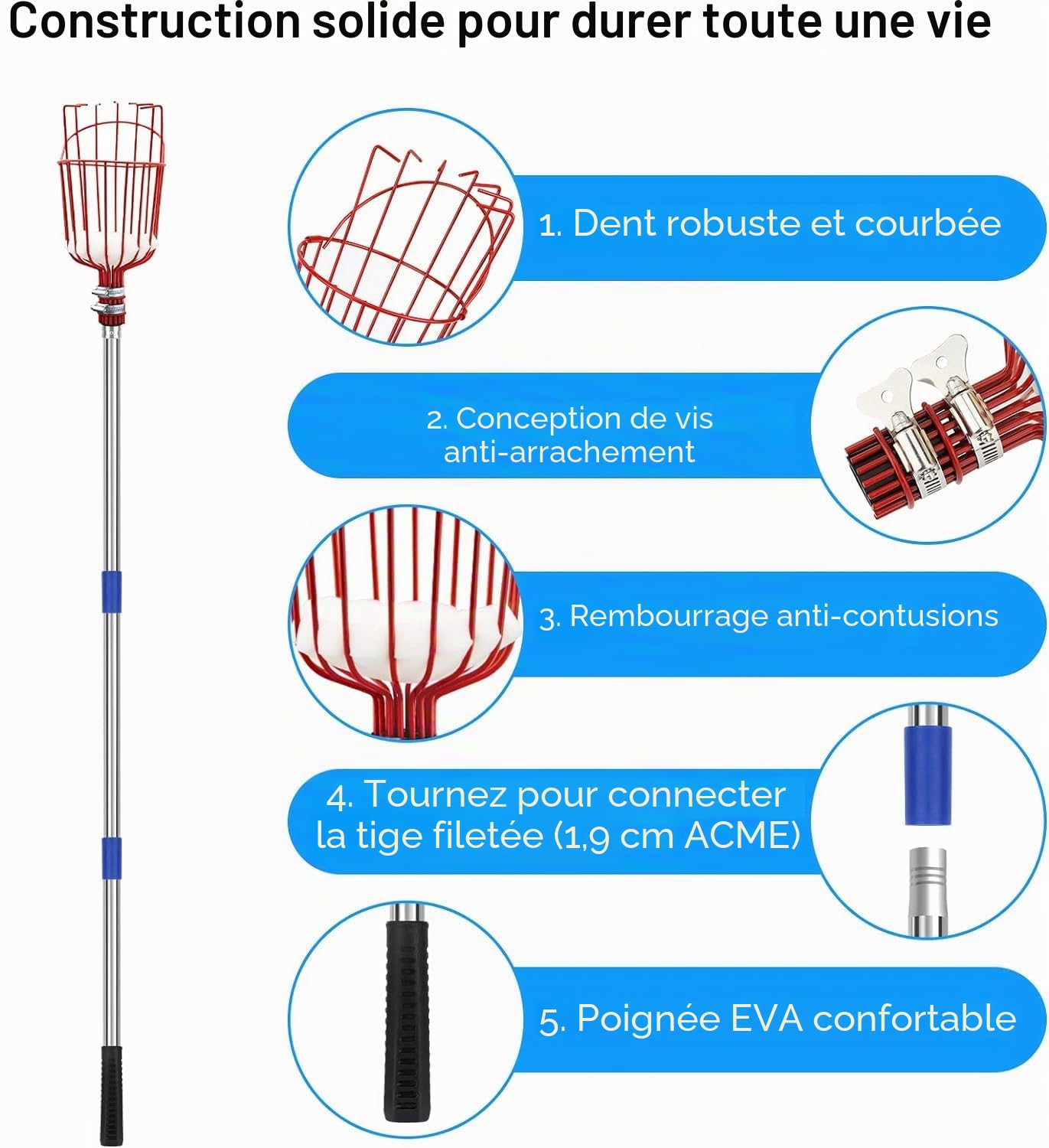 SAN LIKE Perche Cueille Fruit Telescopique 4 M, Cueilleur de Fruits avec Manche Telescopique, Fruit Picker Peigne à Olive Peigne pour Ramasser les Olives, Pommes, Poires, Pêches, Avocats