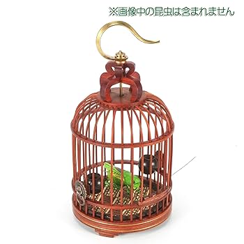 Amazon | [華能] 虫かご ギスカゴ 丸虫かご 木製 ハンドメイド