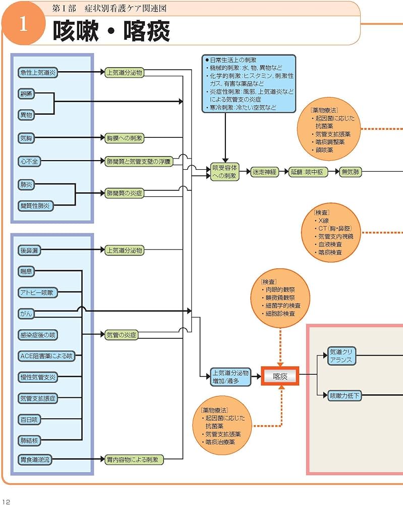 エビデンスに基づく呼吸器看護ケア関連図 改訂版 | 橋野明香, 水川