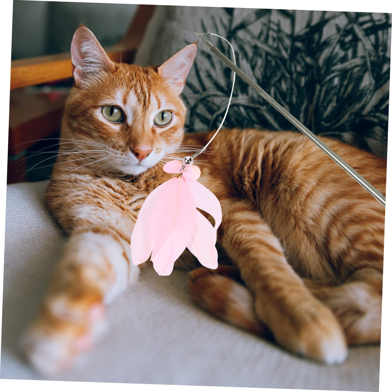 SUPVOX 3pièces Canne à pour Chat avec Jouets De Remplacement Interactif De Jeux pour Chat pour Divertissement Félins