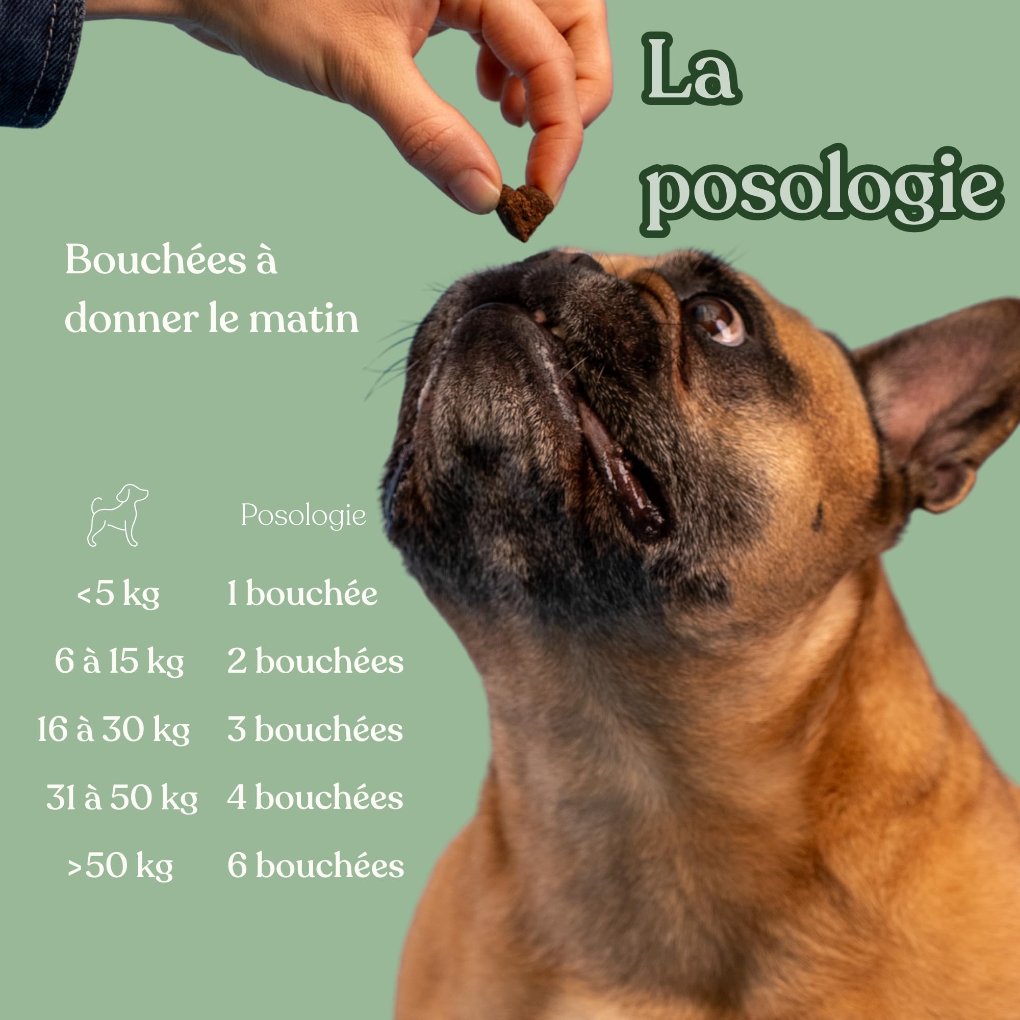 Probiotique Chien - 120 compléments Digestion Premium - Anti diarrhée Chien - Complexe Prébiotiques,probiotiques et prébiotiques - Formule vétérinaire - Marque française