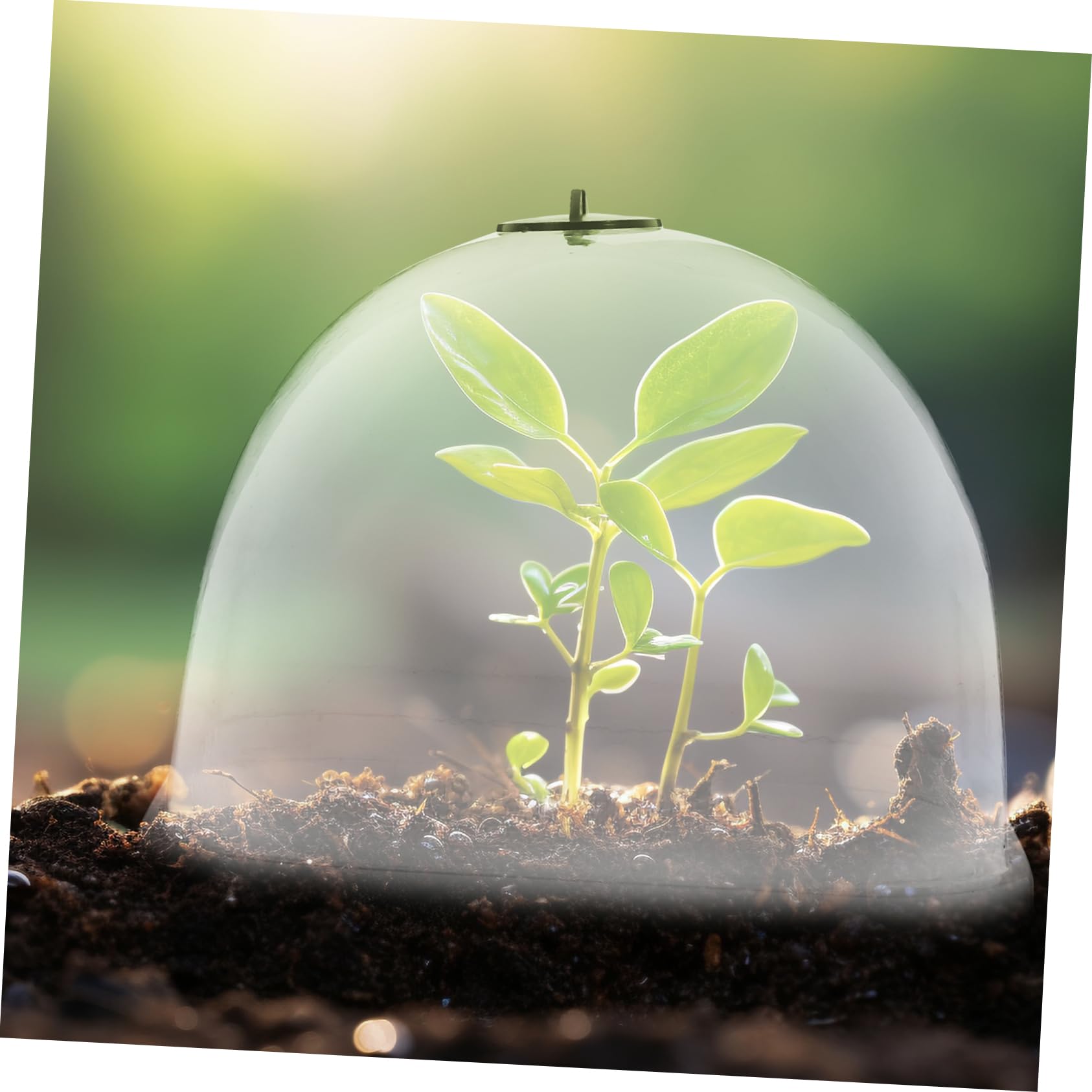 POPETPOP 10Pcs Garden Dome Plant Protector Breathable Greenhouse Cover with Air Vent for Humidity Control Transparent Design for Optimal Light and Growth for Weather Protection