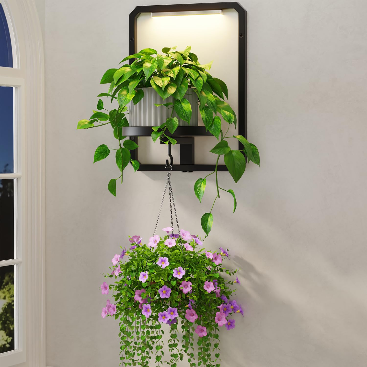 LASZOLA Plant Picture Frame Holder Shelf Wall with Lights, Black
