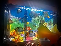 Review Image by Aslan Aslan