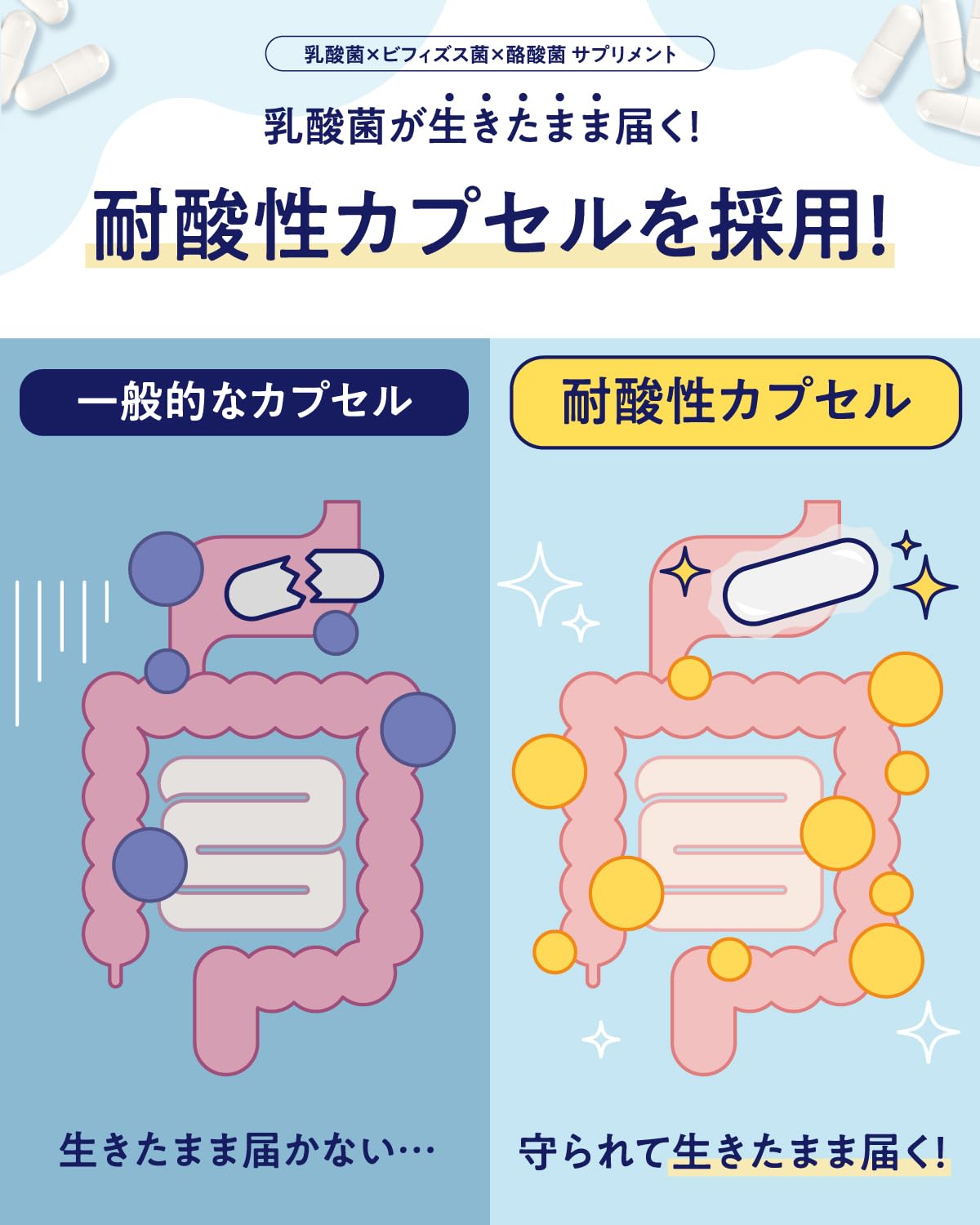 Amazon | 【生きた乳酸菌 酪酸菌 贅沢配合】 ビフィラル 乳酸菌