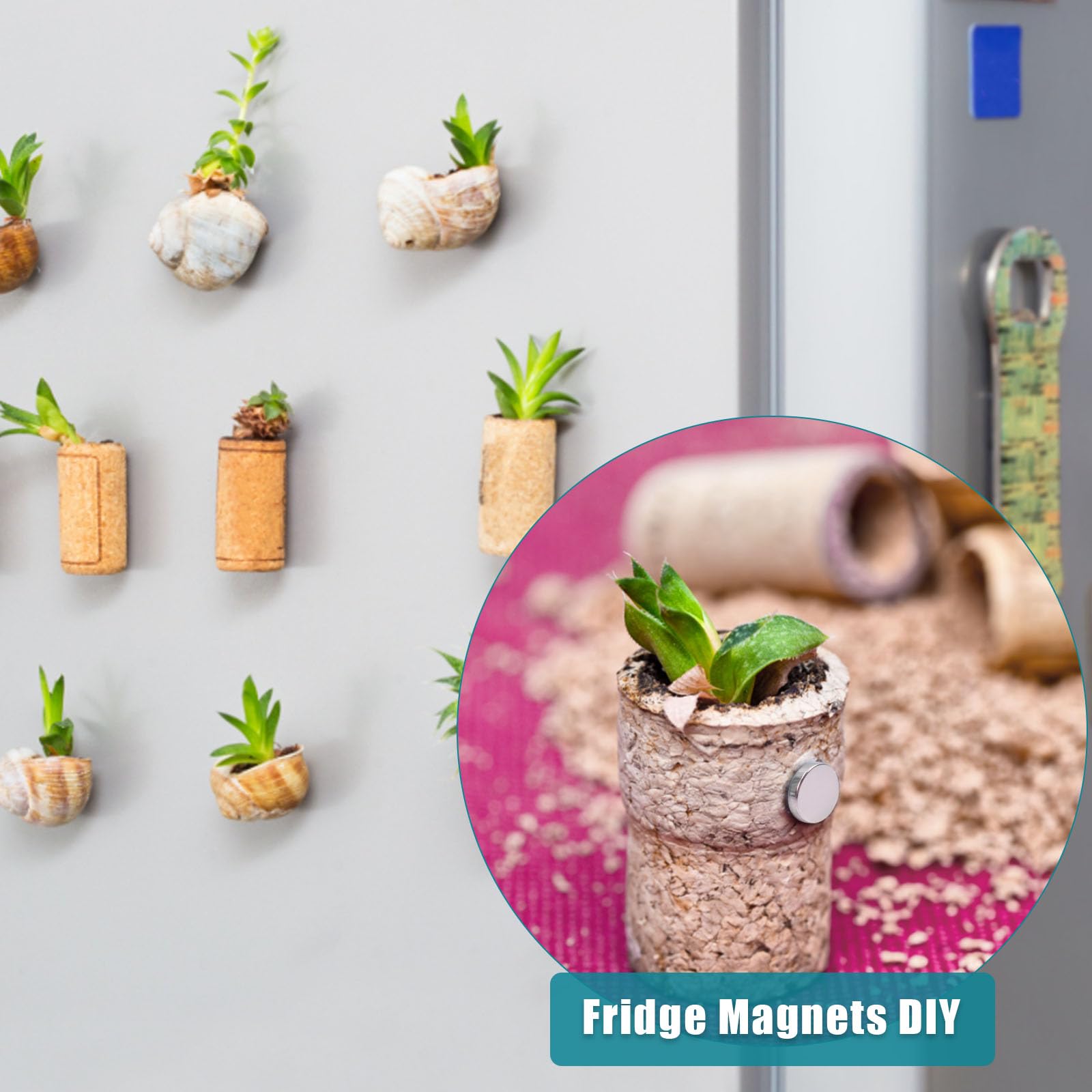 60 Pcs Rare Earth Magnets Neodymium Magnet, 0.47x1/8 inch Magnets for Whiteboard Fridge — Amazon image 5