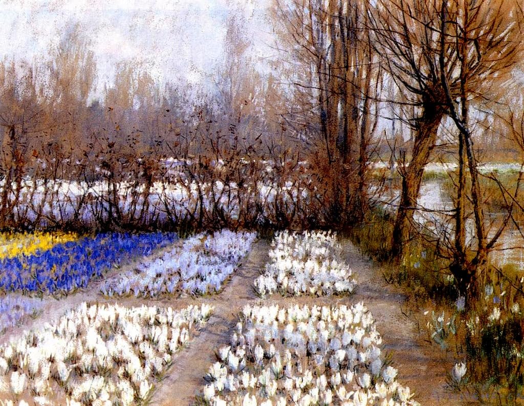 Impression prints toile champ de crocus finition haut de gamme - 5