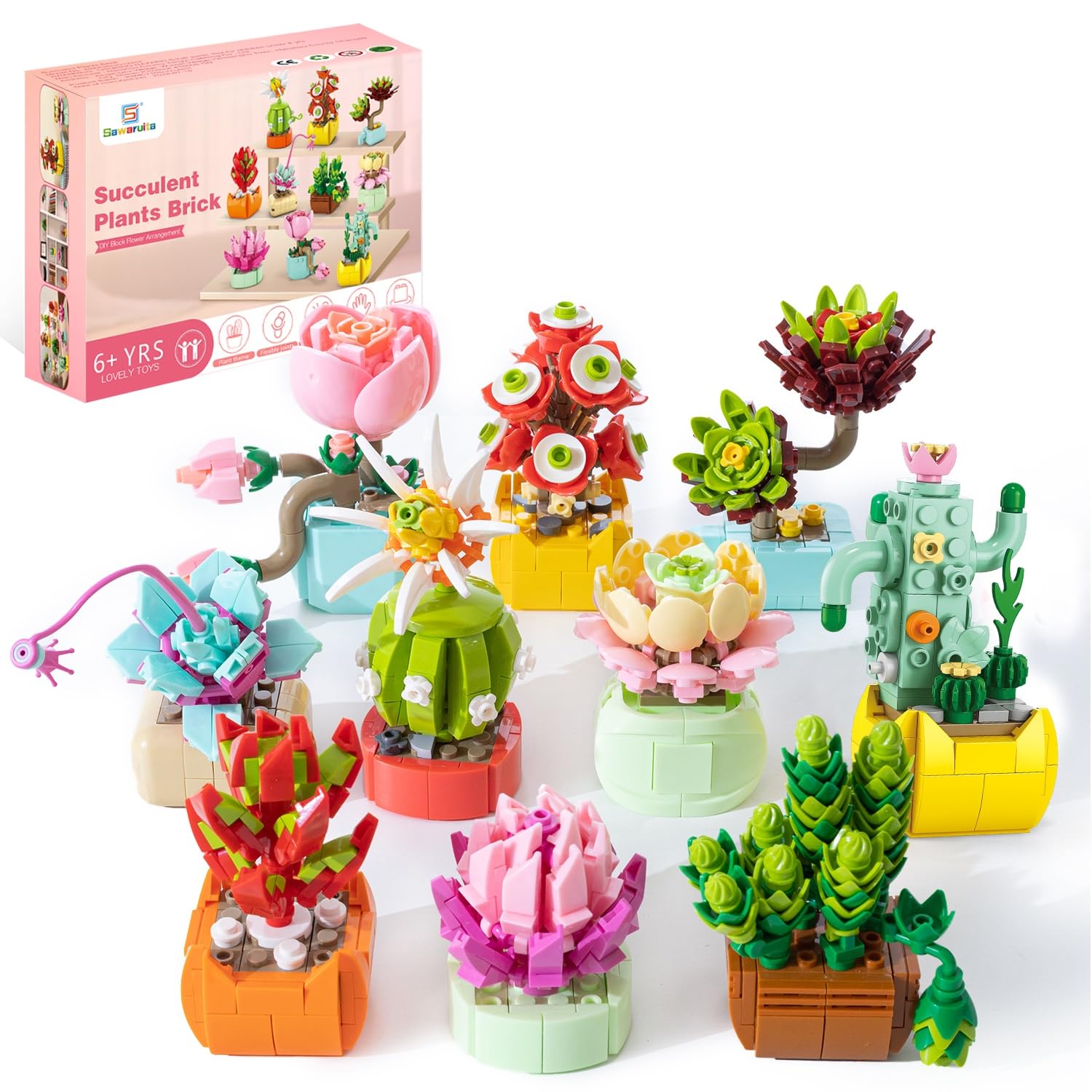 Amazon.com: Sawaruita 10 Pack Succulents Plants Flowers Bonsai
