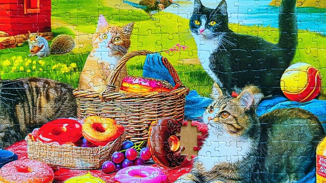 Amazon.com: 300 Piece Puzzles for Adults - Jigsaw Puzzles for Kids