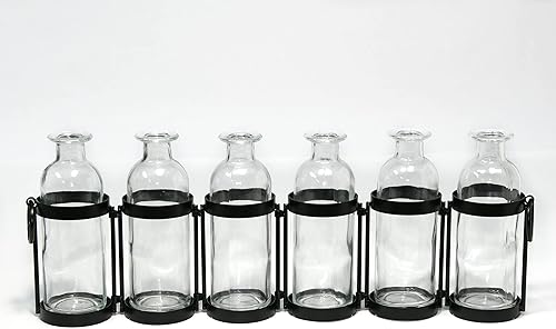 Miniatura 4 de Jarrón de terrario con bisagras de metal, 6 botellas, negro mate y vidrio transparente