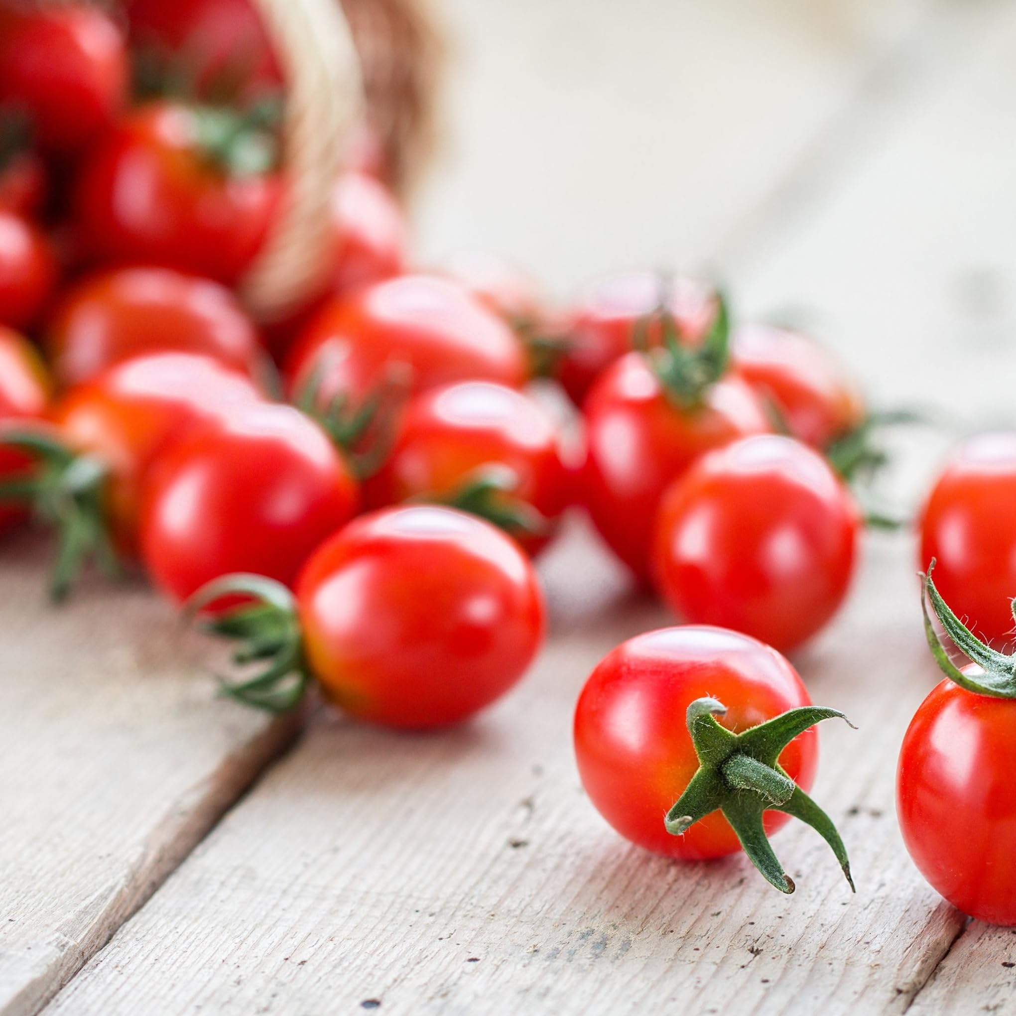 Tomato Plants, Pick and Mix Varieties, Sweet Million, 6 x Full Plug Plant Pack, Tomato Plants Ready to Plant Now, Tomatoes, Fresh and Sweet, Gardeners Favourite, Excellent Flavour, Garden Ready