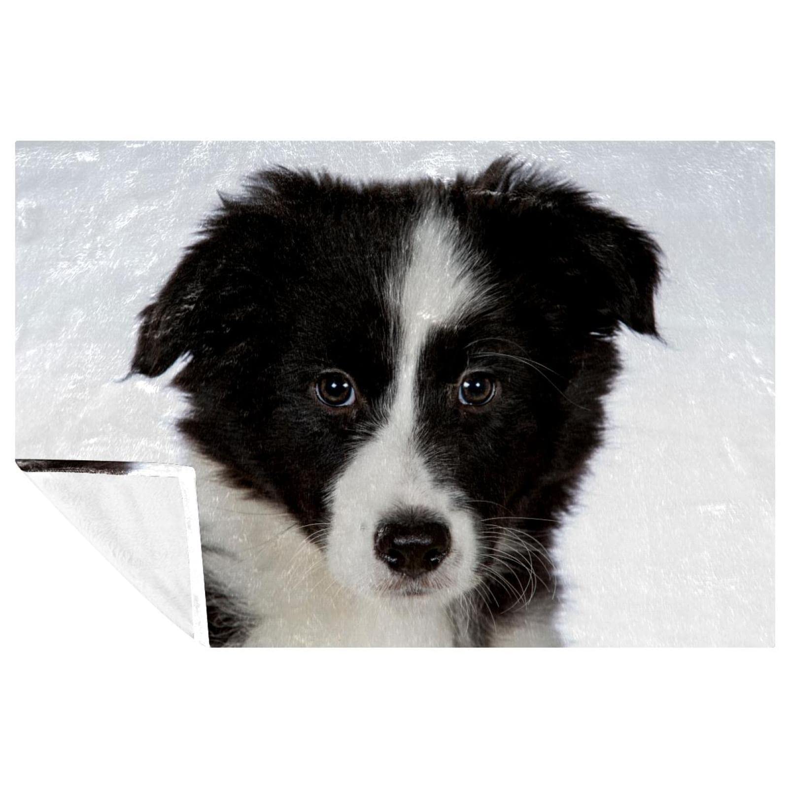 Couverture Border Collie cadeau idéal pour amoureux de chiens, plaid 150x100