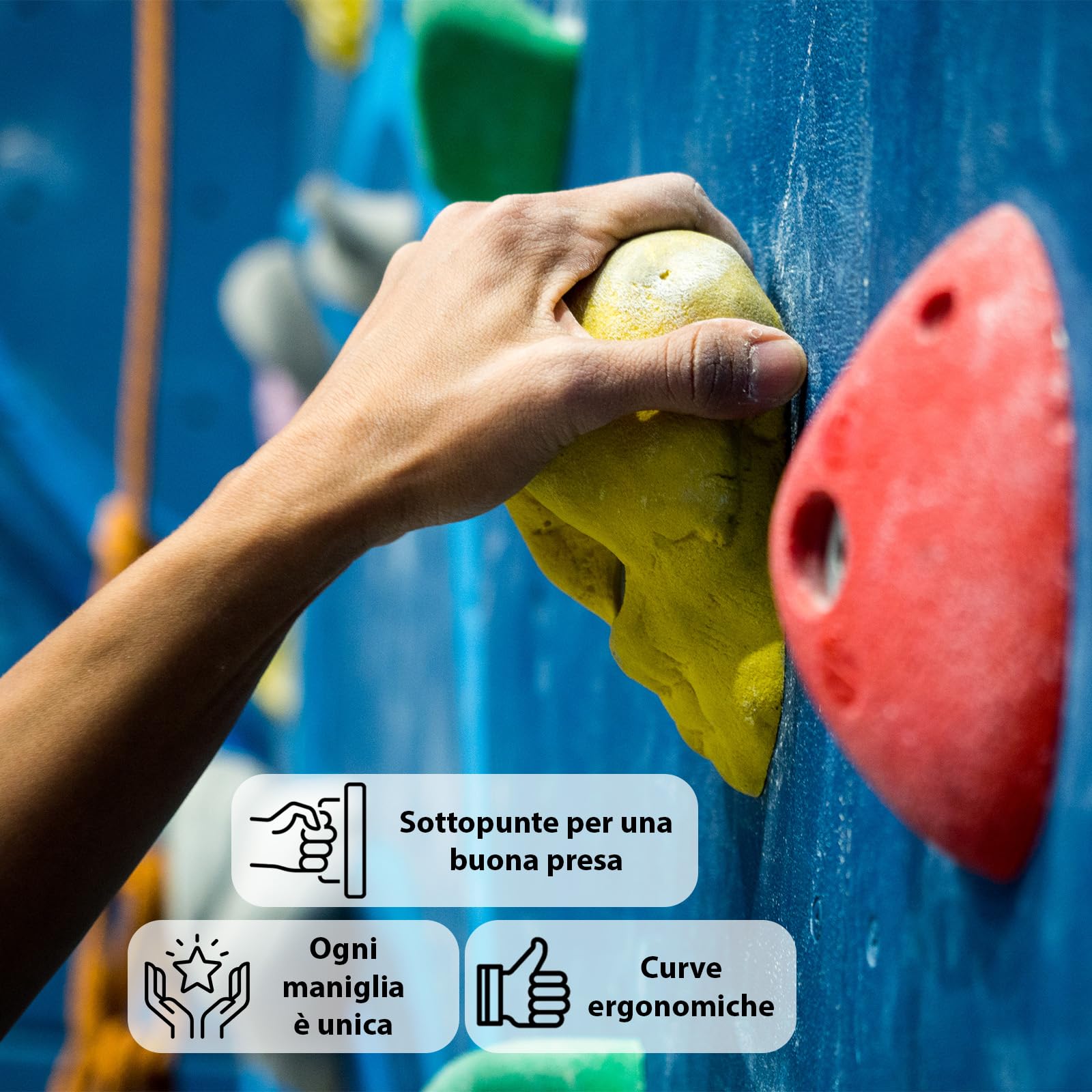 ALPIDEX 80 Prese d'Arrampicata | Dimensioni XL, L, M, S, XS | Superficie Arrampicata 6-10 m² | Set Blocchi Arrampicata - Colore:colorato