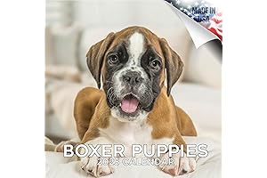 Boxer Puppies 2024 Wall Calendar: Captivating Canines Every Month