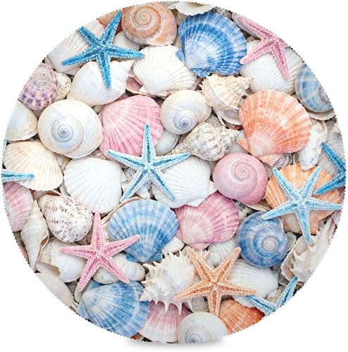 Soft Color Shell and starfishes Round placemats wipable placemats for Dining Table Set of 4 15x15 in individuales para mesa de comedor Elegantes